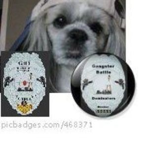 Meet your Posher, Cameron